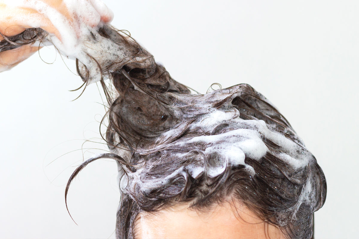 Shampoo